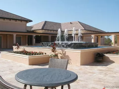 3338 N Chandler Dr, Hernando, FL 34442 photo 56