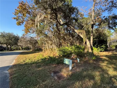 21 Livingstone Daisy Ct, Homosassa, FL 34446