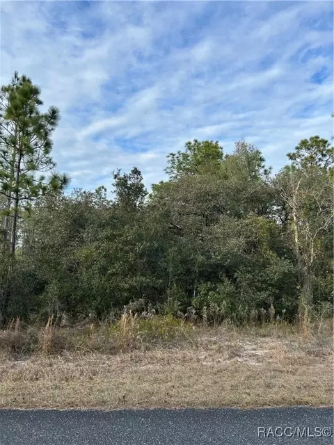 tbd SW Huckleberry Ln, Dunnellon, FL 34431