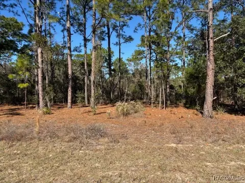 4271 W Gallagher St, Citrus Springs, FL 34433