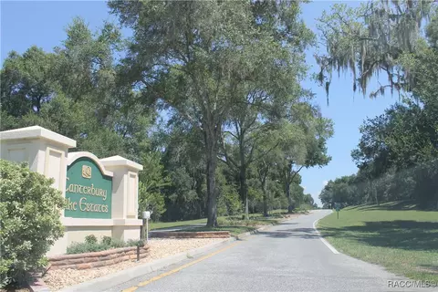 3349 E Chichester Ct, Hernando, FL 34442 photo 62