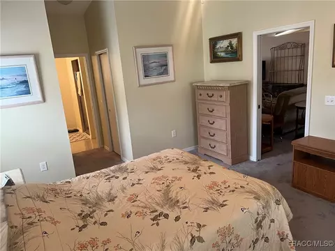 3349 E Chichester Ct, Hernando, FL 34442 photo 22