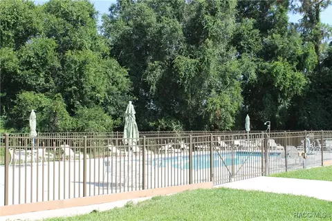 3349 E Chichester Ct, Hernando, FL 34442 photo 60