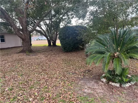 3349 E Chichester Ct, Hernando, FL 34442 photo 47