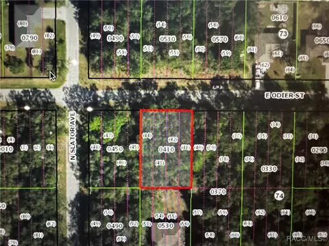 3206 E Odier St, Inverness, FL 34453