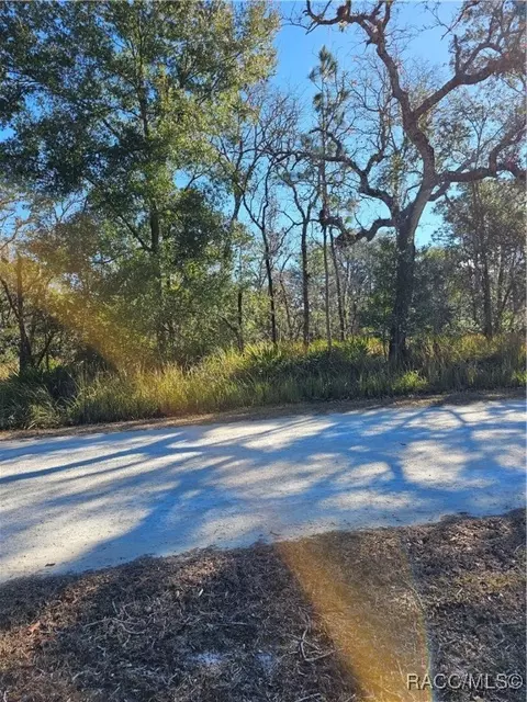 tbd Yellowstone Ave, Weeki Wachee, FL 34614