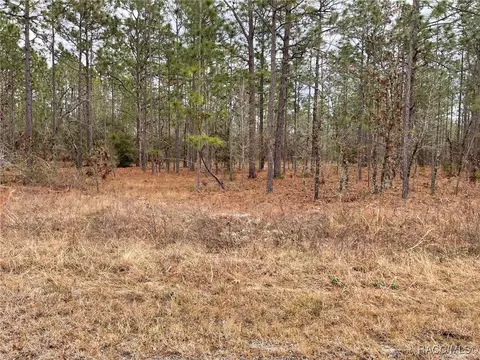 lot25 SE 138th Ave, Dunnellon, FL 34431