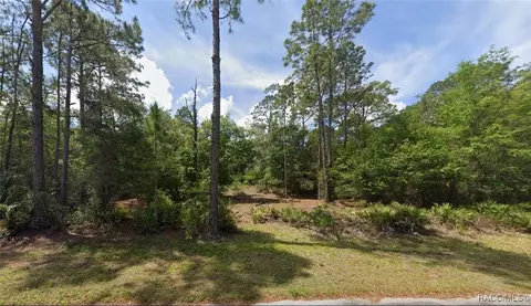 12462 W Cypress Vine Ln, Crystal River, FL 34428