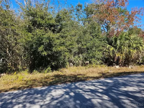 7147 W Jackson Ln, Homosassa, FL 34448
