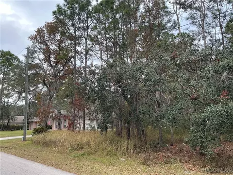 1765 W Redding St, Hernando, FL 34442 photo 2