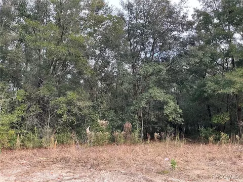 10623 N Didiscus Dr, Citrus Springs, FL 34434