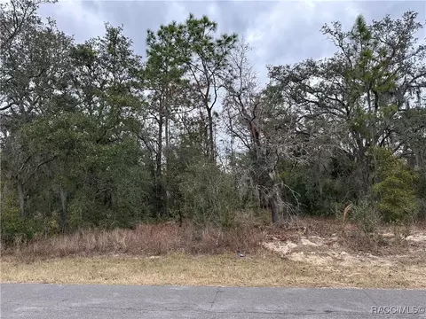 3027 E Dawson Dr, Inverness, FL 34453