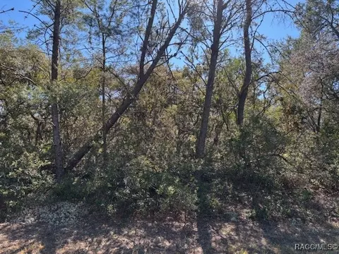 4282 W Drake Ln, Citrus Springs, FL 34433