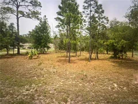 7299 N Embassy Ter, Dunnellon, FL 34434