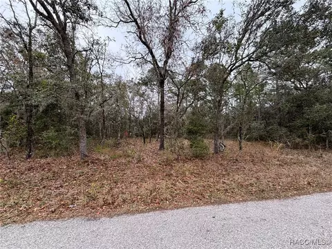 3043 E Kennedy St, Inverness, FL 34453