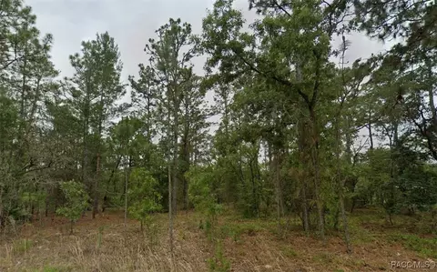 1836 W Quaker Ln, Citrus Springs, FL 34434