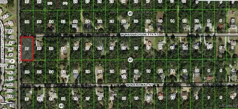 984 W Massachusetts St, Hernando, FL 34442