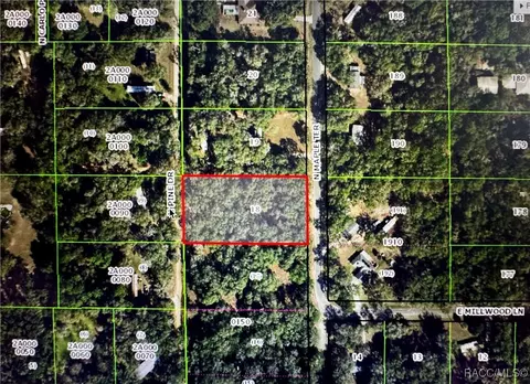 4818 N Maple Ter, Hernando, FL 34442