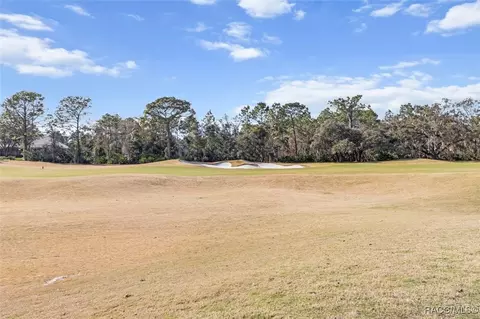 3468 N Grayhawk Loop, Lecanto, FL 34461 photo 45