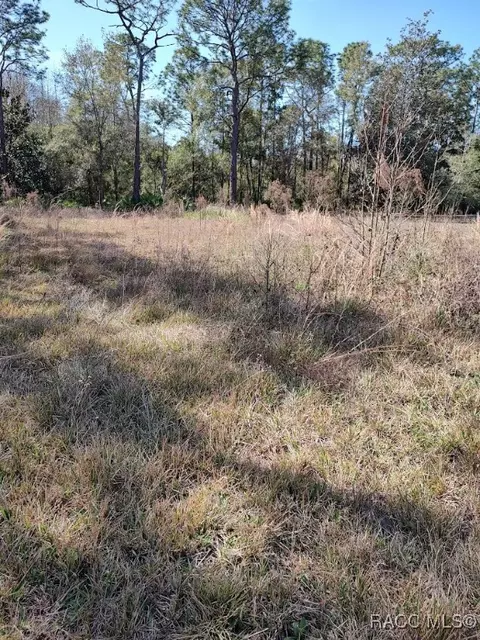 7636 Narcissus Ln, Homosassa, FL 34448