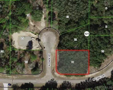 6976 N Lime Dr, Citrus Springs, FL 34433
