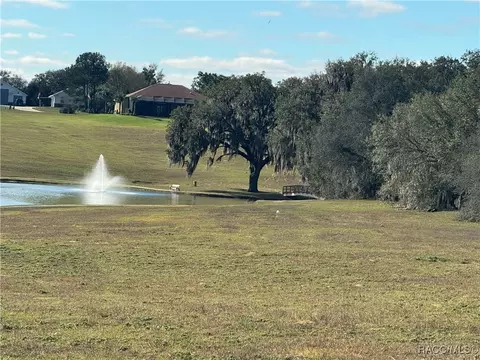 244 N Lake Shenandoah Loop, Inverness, FL 34453