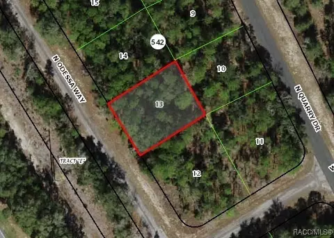 9825 N Odessa Way, Citrus Springs, FL 34434