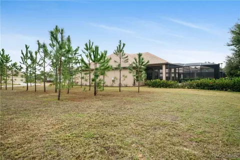 Exterior - 2132 N Buttonwood Loop, Hernando, FL 34442 photo 14 of 22