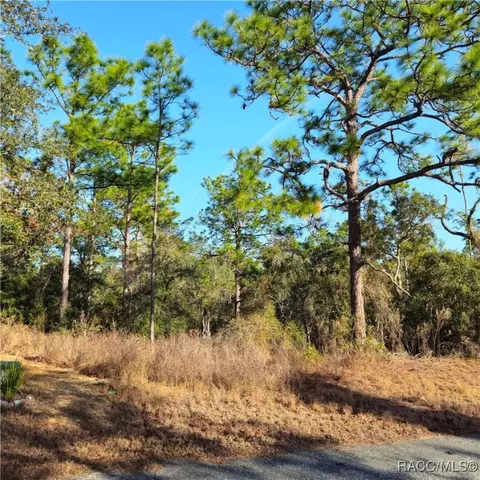 32 Cherrypalm Ct, Homosassa, FL 34446