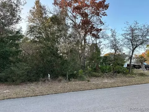7 Calendula Ct, Homosassa, FL 34446