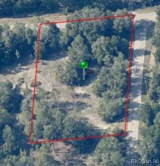 12400 W Cornflower Dr, Crystal River, FL 34428