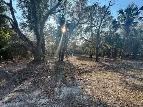 9022 N Cacalia Dr, Crystal River, FL 34428