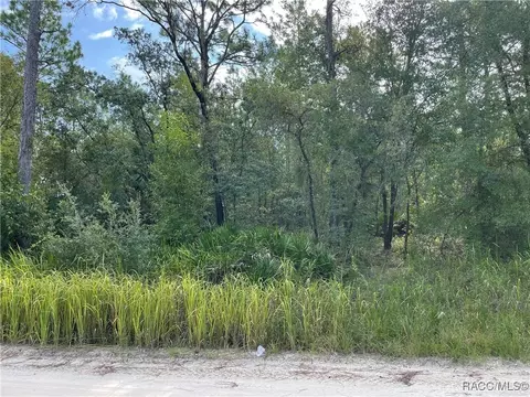 6593 N Velveteen Pt, Dunnellon, FL 34433