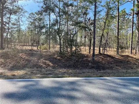 lot14 NW Ridgewood Rd, Dunnellon, FL 34431