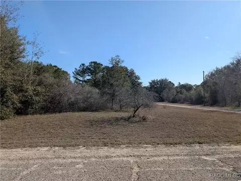 553 E Irene Ln, Citrus Springs, FL 34434