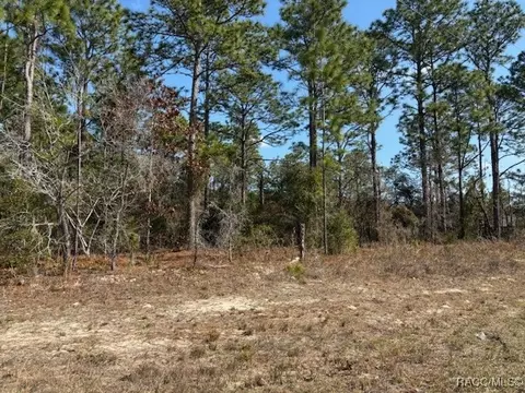 8849 N Vienna Dr, Dunnellon, FL 34433