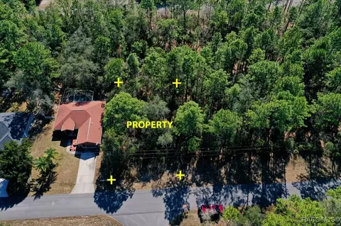 3294 W Talinum Pl, Citrus Springs, FL 34433