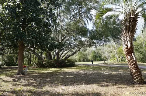 342 E Lancaster St, Lecanto, FL 34461 photo 4