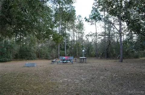 342 E Lancaster St, Lecanto, FL 34461 photo 51