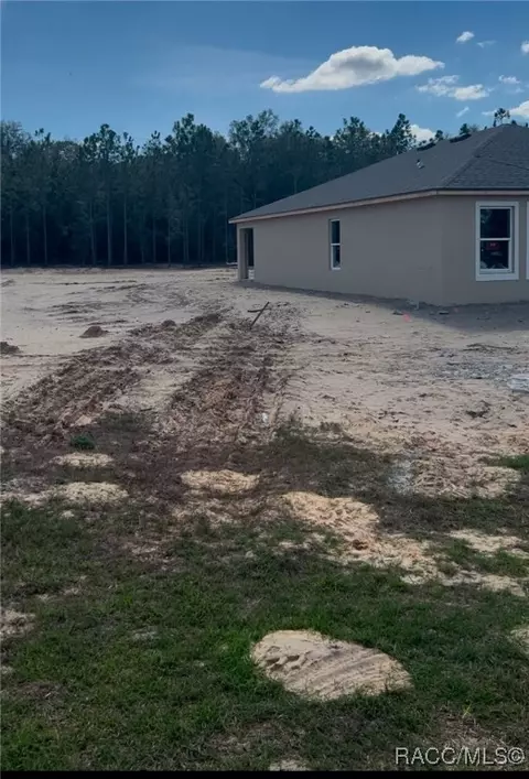 Exterior - 680 E Alaska Ln, Hernando, FL 34442 photo 3 of 6