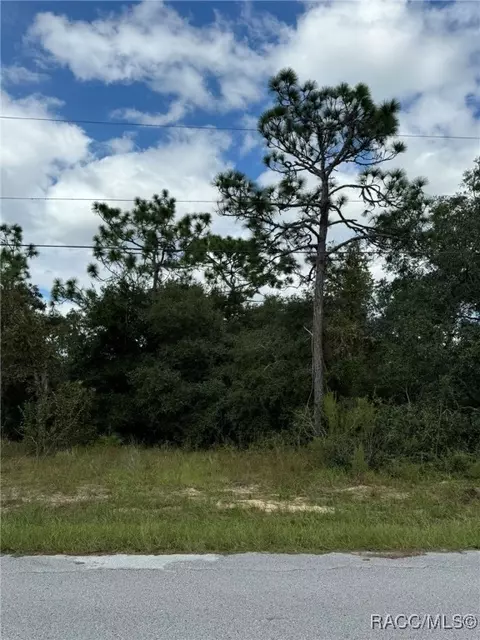 3059 E Murray St, Inverness, FL 34453 photo 2