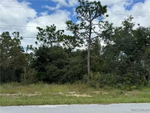 3059 E Murray St, Inverness, FL 34453 photo 3