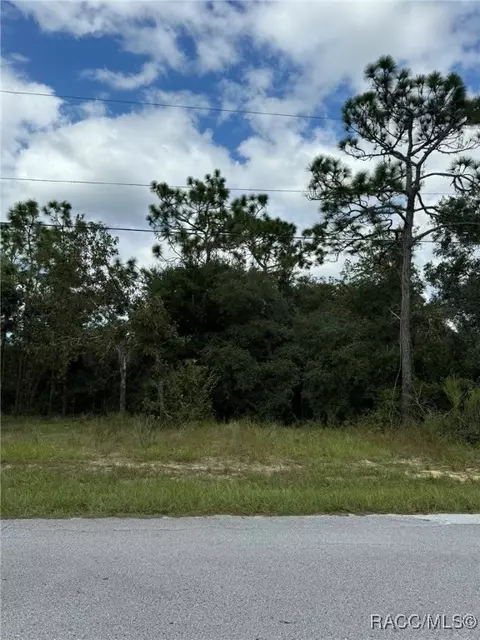 3059 E Murray St, Inverness, FL 34453