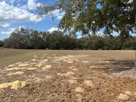 2644 N Clements Ave, Hernando, FL 34442