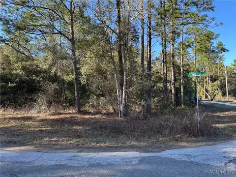 10786 N Haitian Dr, Citrus Springs, FL 34434