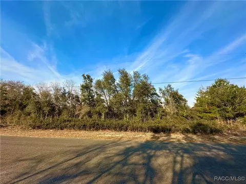 3131 W Edison Pl, Citrus Springs, FL 34433