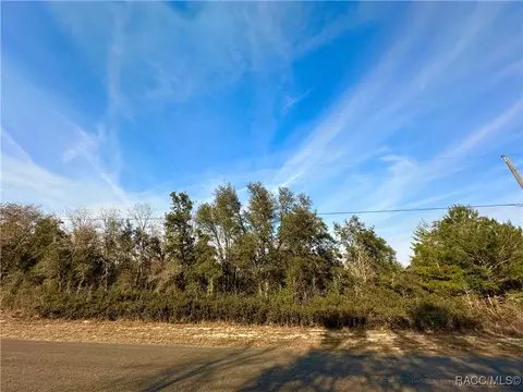 3143 W Edison Pl, Citrus Springs, FL 34433
