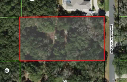 350 N Grandview Ave, Hernando, FL 34442