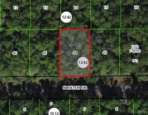 9243 N Patch Dr, Citrus Springs, FL 34434