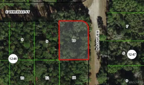 1124 E Vercelli Ave, Citrus Springs, FL 34434